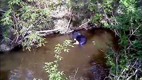 Noel checking Turtle Trap