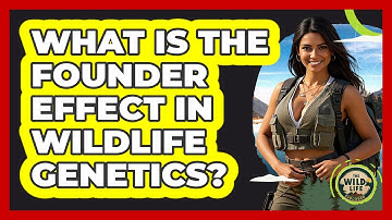What Is The Founder Effect In Wildlife Genetics? - The Wild Life Explorer
