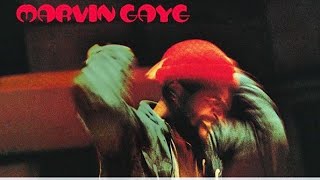 Celebrity Marvin Gaye - Just To Keep You Satisfied (Original Single Mix) Wealth