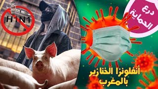 كيفاش تحمي راسك من انفلونزا الخنازير وااااو المغرب
