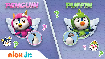 Play a Top Wing Trivia Game 🤔 Penguin or Puffin w/ Penny & Brody | Nick Jr. Games | Nick Jr.