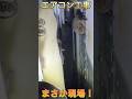 【エアコン工事】まさか!家の中にお友達?勝手にくつろいで、、、