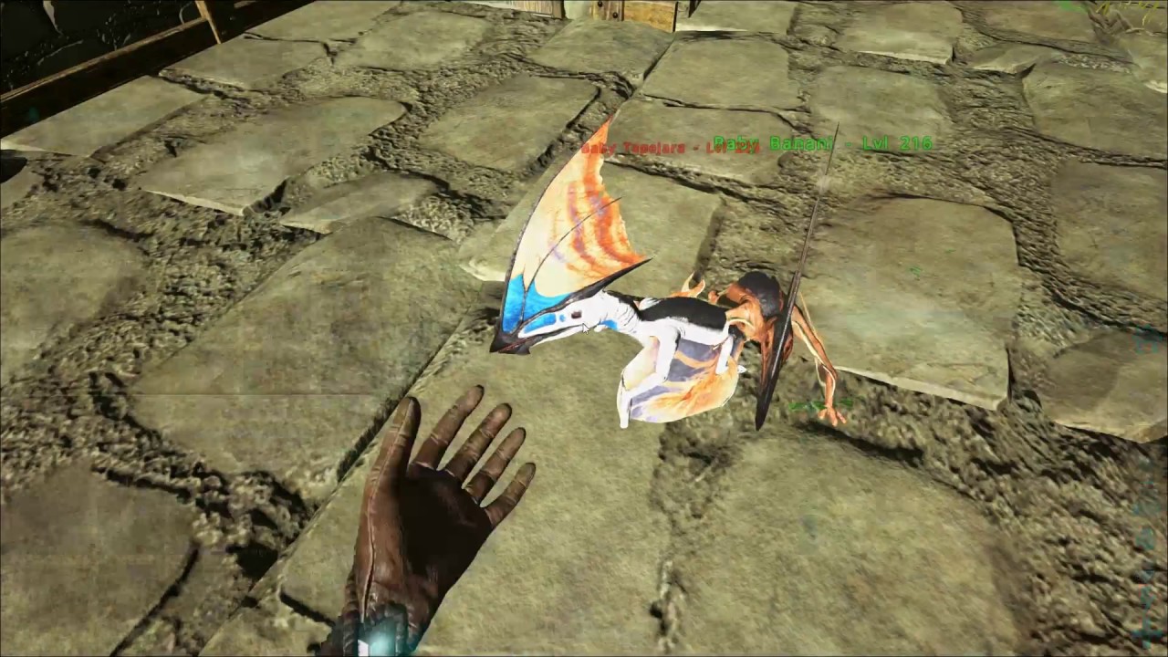 Colour-Mutated Tapejara