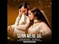 Sunn Mere Dil Original Score 360p Rahat Fateh Ali Khan Ost Sunn Mere Dil Original Score 360p Rahat Fateh Ali Khan Ost