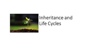 Inheritance and Life Cycles (NGSS)
