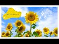 Summer Classical Playlist 夏に聴きたいクラシック名曲集 涼やかなオーケストラとピアノBGMで癒される時間 Summer Classical Playlist 夏に聴きたいクラシック名曲集 涼やかなオーケストラとピアノBGMで癒される時間