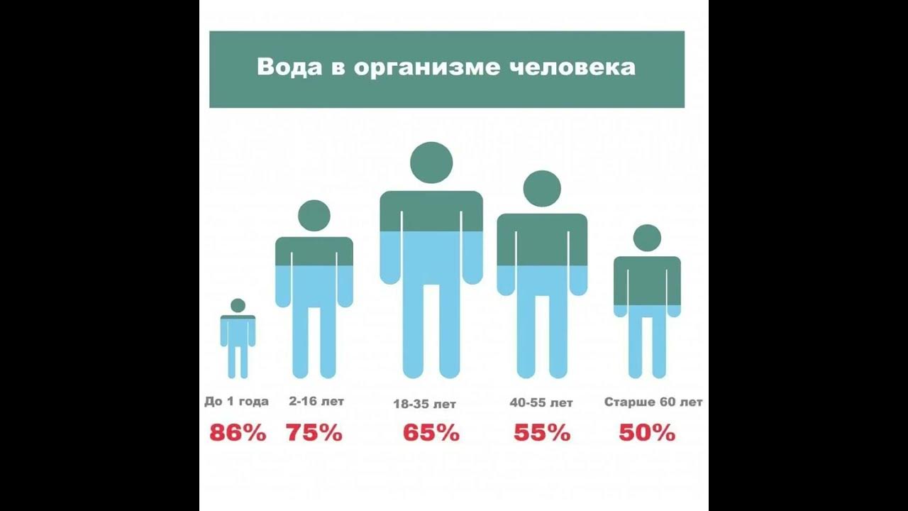50 воды в организме. Вода в организме человека. Летальная потеря воды в организме. Потеря воды в организме человека. Сколько составляет вода в организме человека.