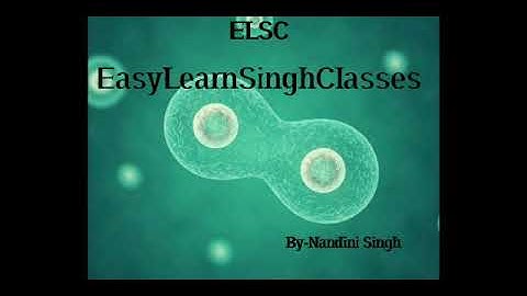 Easy Learn - Cell Cycle-1 for Csir Net, Dbt Jrf & other Exams by Nandini Singh