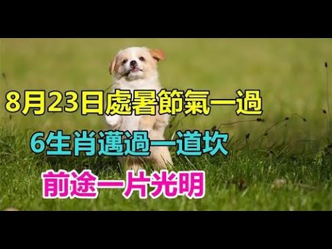 邁過一道坎！8月23日處暑節氣一過「得貴人扶持」的6生肖 贏得「萬千好運來」前途一片光明 | 生肖命理