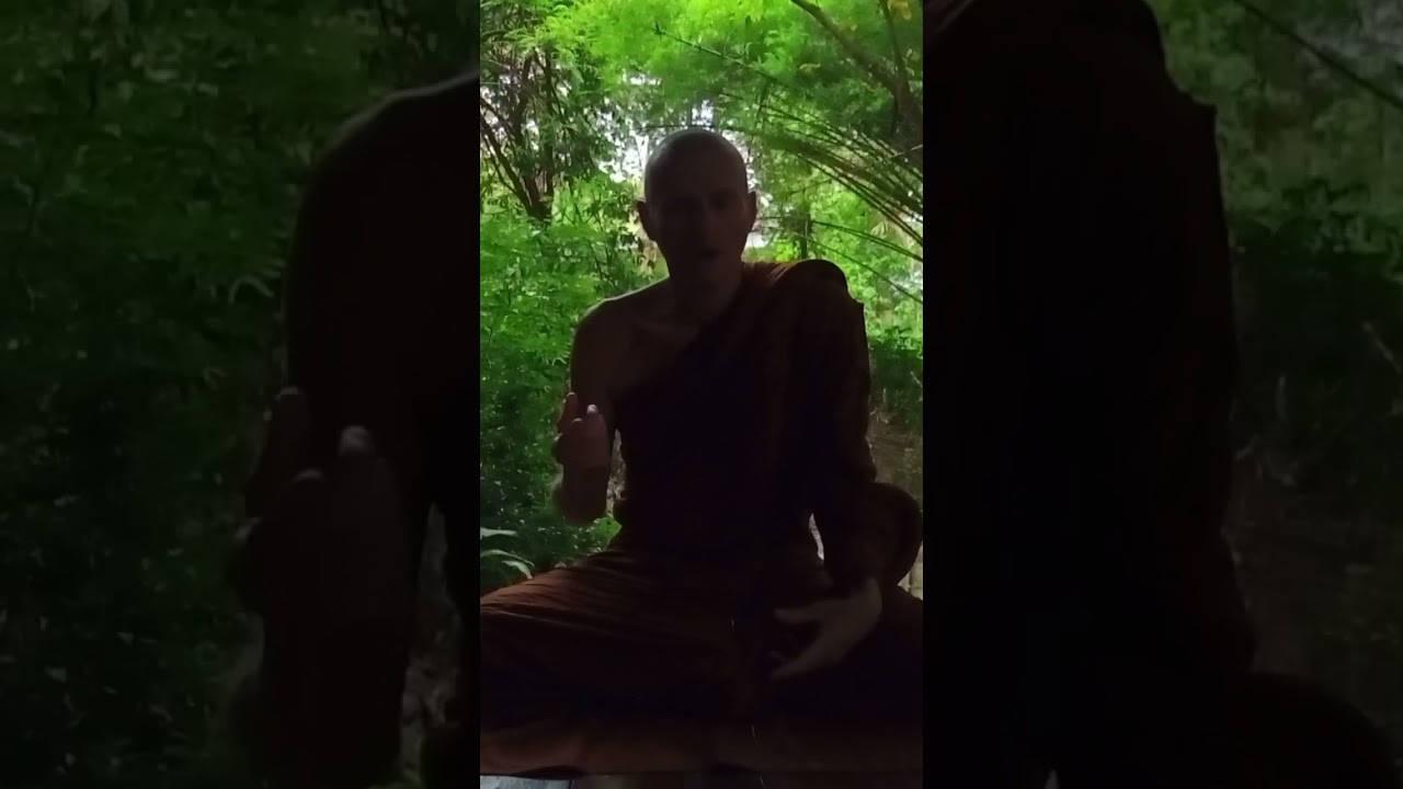 WHAT is GREED, HATRED & DELUSION see FULL VIDEO & SUBSCRIBE HERE