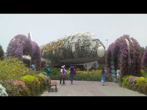 dubai miracle garden