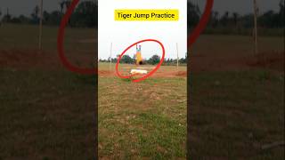 Tiger Jump Practice 🔥//#shorts #ytshorts #tigerjump #homeguard