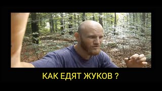 💥КАК ЕСТЬ ЖУКОВ ?💥