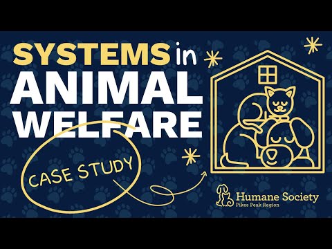 Industry Quality Assurance Standards Animal Care Industry