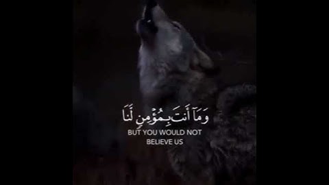 سورة يوسف اية 17