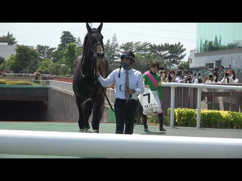 タガノフィナーレ 現地 口取り 3歳1勝クラス 鮫島克駿騎手 2022/5/7 中京競馬場 6R