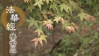 【靜思妙蓮華】法華經譬喻品 - 安住實智 體解大道 - 20200930 第488集