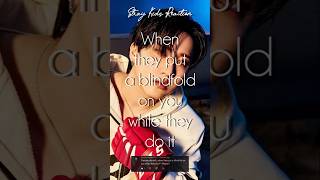 [Stray Kids Reaction] When They Put A Blindfold On You When They Do It 🙈✨ [Requested]