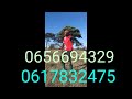 Kisima Naliwachene 16 Mei 2026 