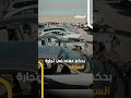 جريمة تتحول إلى لغز اختطاف جديد مقتل تيكتوكر شهيرة مع زوجها وطفليها بدم بارد اخبار المشهد