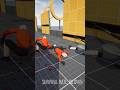 Ragdore Euphoria physics #ragdoll