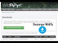 Descargar e instalar servidor Wildfly