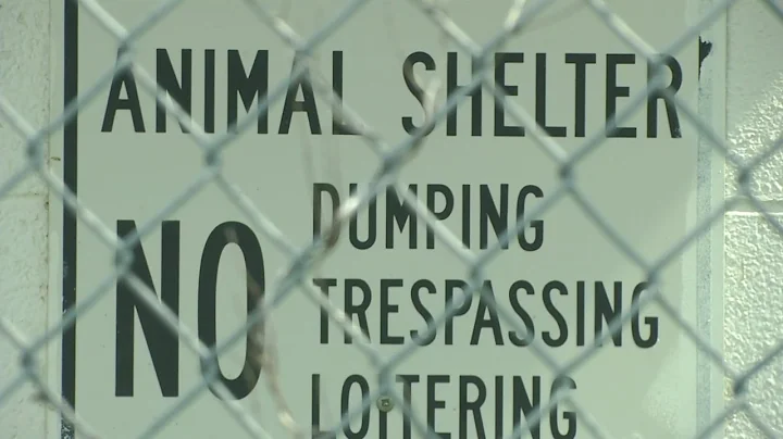 NEWS4 AT 6: State: Dunkirk animal shelter can be used as temporary holding center