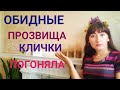 КЛИЧКИ/ПРОЗВИЩА/ПОГОНЯЛА. ЗУБАСТЫЕ КОМПЛИМЕНТЫ