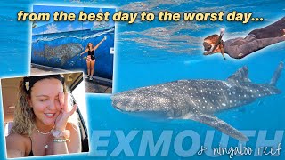 SWIMMING WITH WHALESHARKS! The BEST Day to the Worst Day lol... | Exmouth & Ningaloo