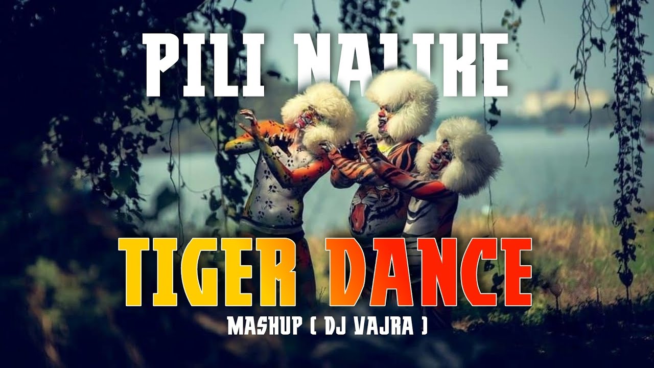 TIGER DANCE MASHUP PILI NALIKE DJ VAJRA Djvajramangalore