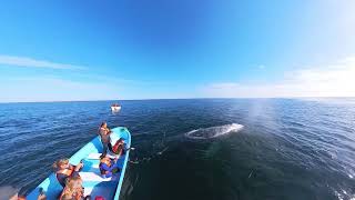 VID 20240316 093233 00 007