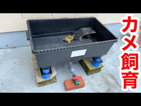 The Strongest Turtle Keeping Equipment Youtube