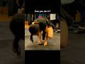 🔥 Ultimate Fitness Challenge | Can You Beat This? 💪 #Shorts