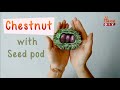 Chestnut with seed pod - Hana DIY