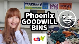 Thrifting The Phoenix Goodwill Bins | "It's Like Digging For Gold !!!"