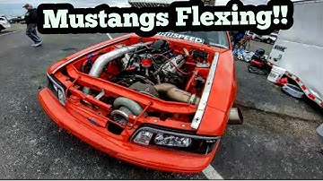 Turbo, Nitrous, Supercharged Fox Body Mustangs do Battle!!