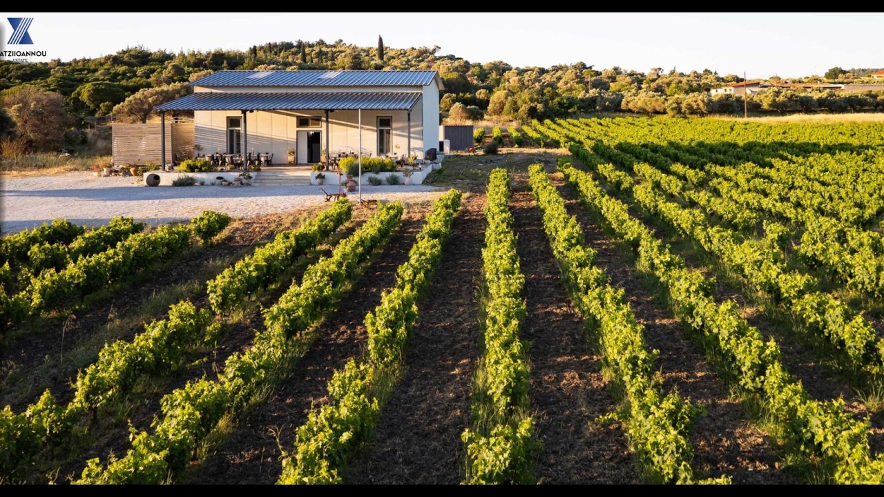 Winery - Hatziioannou Estate