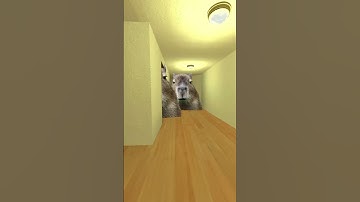 Chase Capybara Nextbot gmod