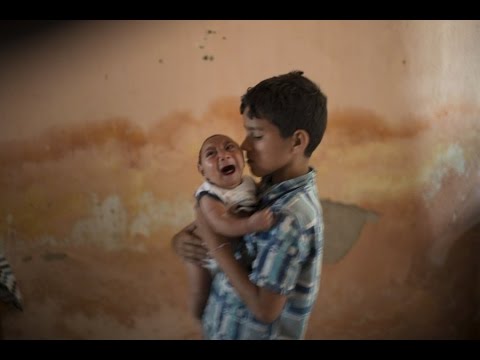 Video: Zika Virusas - Simptomai, Zika Viruso Nešiotojas