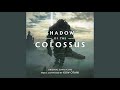 Shadow of the colossus  liberated guardian battle theme