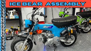 CT70 Clone 2025 Ice Bear Champion 125 Assembly