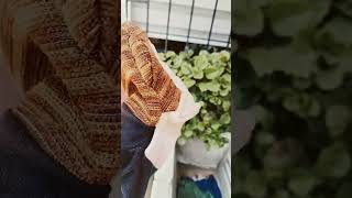 Muere Muer Muere Muere