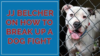 JJ Belcher on How to Break Up A Dog Fight