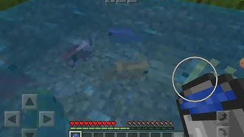 HOW TO CATCH FISH IN BUCKET MINECRAFT PE | ZARAKHAN GAMING
