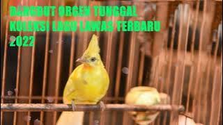 Download lagu DANGDUT ORGEN TUNGGAL TERBARU 2022 FULL BASS || ALBUM RITA SUGIARTO || TERAS TUNGGAL
