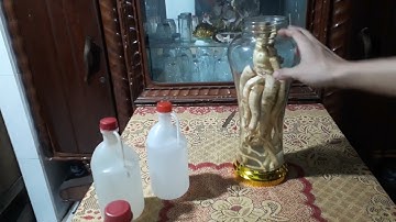 Hướng Dẫn Ngâm Rượu Đinh Lăng Đơn Giản. ( chọn rượu chuẩn )
