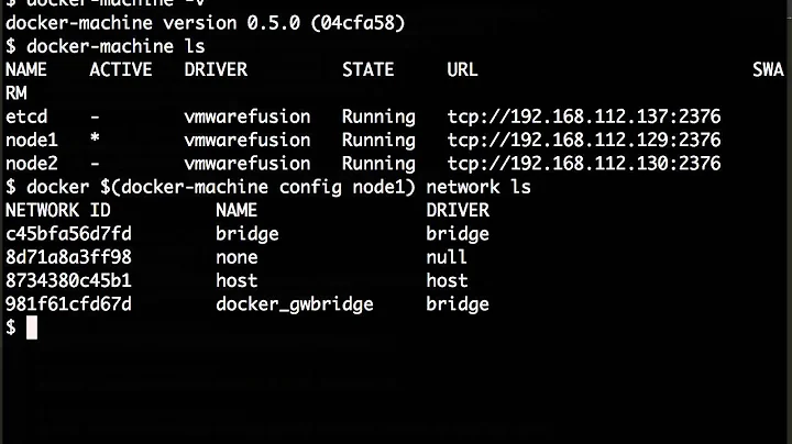 Docker Multi Host Networking with etcd Backend