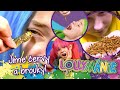 LOLLYMÁNIE - Ochutnáváme červy a brouky!!!🤢