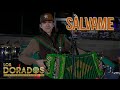 Los Dorados - Sálvame (En Vivo)