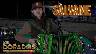 Video thumbnail of "Los Dorados - Sálvame (En Vivo)"